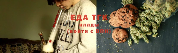 тгк Абаза