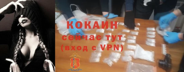 тгк Абаза