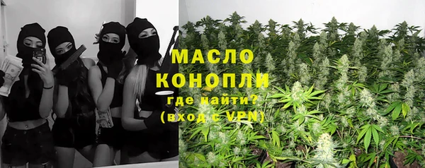 тгк Абаза