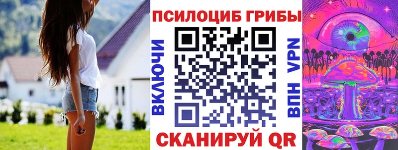Галлюциногенные грибы прущие грибы Абакан