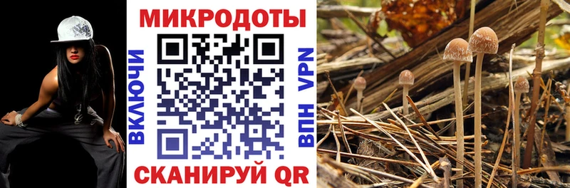 Псилоцибиновые грибы ЛСД  blacksprut зеркало  Абакан  хочу наркоту 